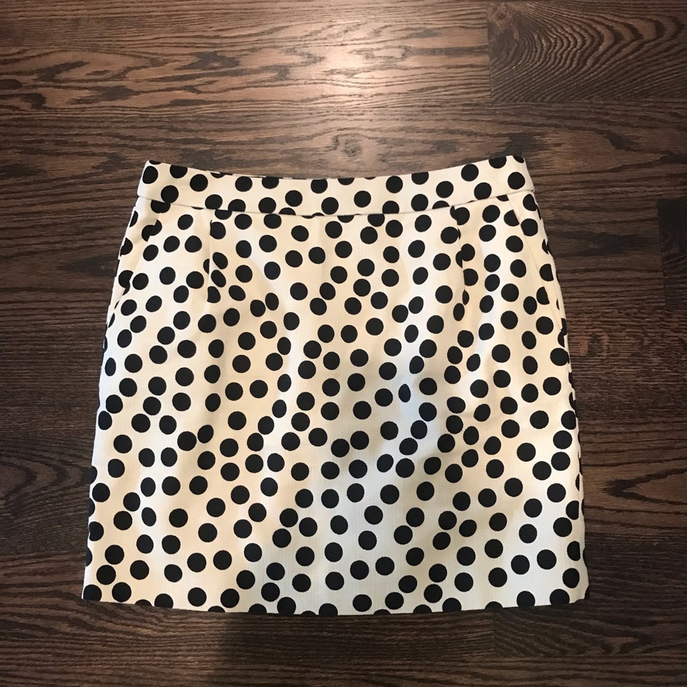J crew Skirt